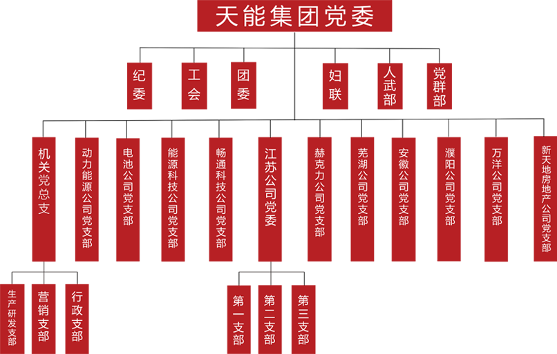 星空建团党委组织架构